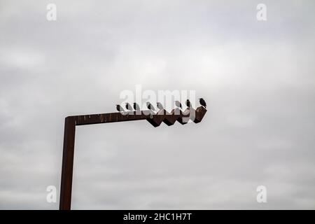 Le stelle che riposano sul cartello posto sulla strada atlantica selvaggia. Foto Stock