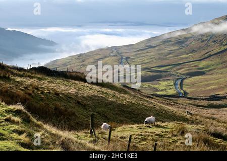 Lake District National Park Cumbria Kirkstone Pass guardando indietro verso Brothers Water, Deepdale Common, Black Crag e il Capo Foto Stock