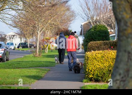 Persone che camminano lungo un marciapiede stradale in inverno, vestiti con cappotti caldi, cani da passeggio in Inghilterra, Regno Unito. Foto Stock