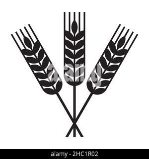 Simbolo del grano di raccolta. Fodero di grano isolato su sfondo bianco Foto Stock