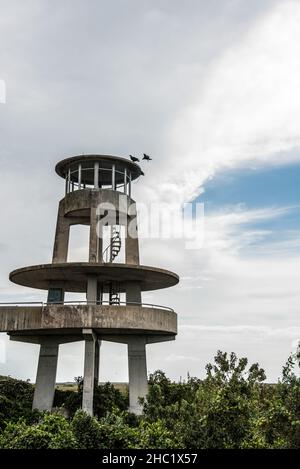 Due avvoltoi atterrano sul tetto della torre di osservazione nella Shark Valley nelle Everglades in Florida, USA Foto Stock