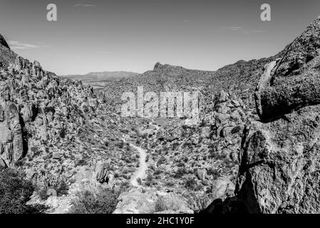 Hikeng le colline di Grapevine secche nel Parco Nazionale di Big Bend negli Stati Uniti Foto Stock