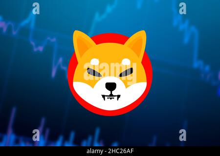 CRIPTOVALUTA SHIBA INU. Grafico di crescita delle monete SHIB sullo scambio Foto Stock