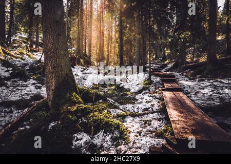 Duckboards che conduce in foresta profonda. Paesaggio invernale a Karnaistenkorpi, Finlandia. Luce del sole che sbucciano attraverso gli alberi. Foto di alta qualità Foto Stock