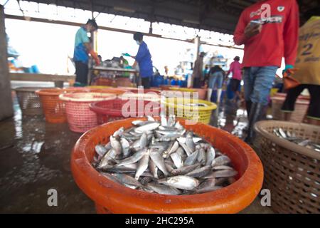 Samut Sakhon, Thailandia-7 novembre 2020: Persone che indossano maschere protettive per l'acquisto di pesce fresco al mercato Mahachai mentre covid-19 pandemic in SA Foto Stock