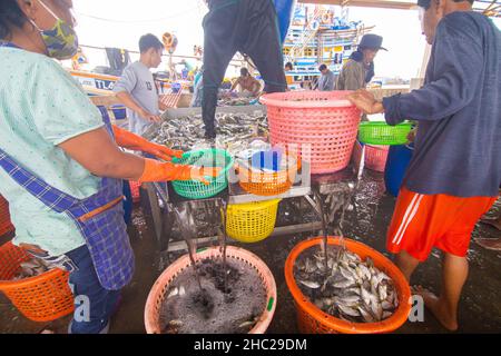 Samut Sakhon, Thailandia-7 novembre 2020: Persone che acquistano pesce fresco al mercato Mahachai, mentre indossa una maschera per proteggere da covid-19 pandemia in Foto Stock