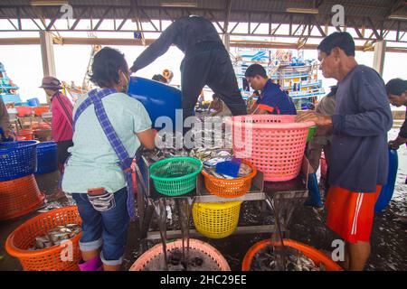 Samut Sakhon, Thailandia-7 novembre 2020: Persone che indossano maschere protettive per l'acquisto di pesce fresco al mercato Mahachai mentre covid-19 pandemic in SA Foto Stock