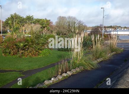 Penzance, Cornovaglia, 23rd dicembre 2021, la gente gode il sole glorioso e le temperature più miti in Penzance, Cornovaglia. I giardini erano comunque molto tranquilli lungo il lungomare. Le previsioni meteo sono per le condizioni mutevoli nei prossimi giorni. Credit: Keith Larby/Alamy Live News Foto Stock