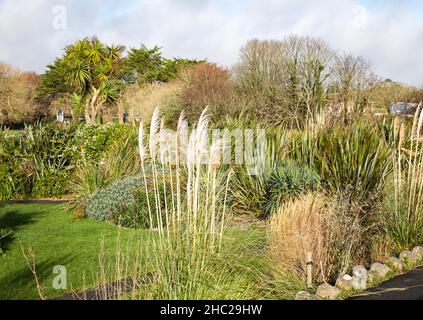 Penzance, Cornovaglia, 23rd dicembre 2021, la gente gode il sole glorioso e le temperature più miti in Penzance, Cornovaglia. I giardini erano comunque molto tranquilli lungo il lungomare. Le previsioni meteo sono per le condizioni mutevoli nei prossimi giorni. Credit: Keith Larby/Alamy Live News Foto Stock