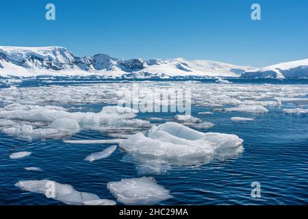 Bergy BITS, noto anche come Growlers, è stato spezzato da un iceberg che galleggia nella baia di Wilhelmina, in Antartide, con una catena montuosa coperta di neve alle spalle Foto Stock