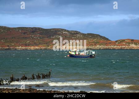 Barca da pesca di aragosta sull'isola di Mull, Scozia. Foto Stock