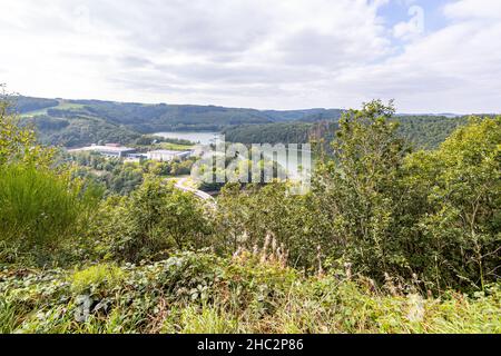 Lago e diga di Esch-sur-Sure circondati da vegetazione selvaggia e lussureggianti alberi verdi visti da un punto panoramico su una collina, giornata soleggiata e tranquilla in Lussemburgo Foto Stock