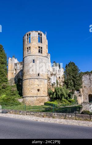 Strada di campagna e la torre circolare deteriorata nelle rovine del castello Burg Beaufort, muri in pietra, circondato da alberi lussureggianti, soleggiata giornata estiva con un Foto Stock