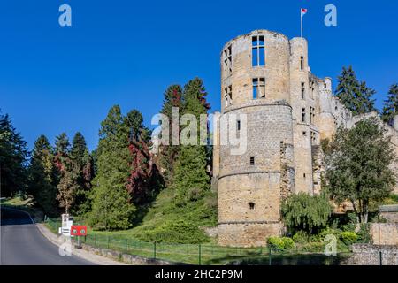 Beaufort, Lussemburgo, 23 settembre 2021. Strada di campagna vuota senza traffico tra alberi lussureggianti e le rovine del castello Burg Beaufort sullo sfondo Foto Stock