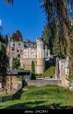 Giardino con erba verde con le rovine del castello Burg Beaufort su una collina rocciosa sullo sfondo, torri, distrutto muri in pietra, soleggiata giornata estiva con Foto Stock