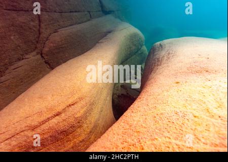 Unico stagcape subacqueo con massi molto grandi nel lago superiore Foto Stock