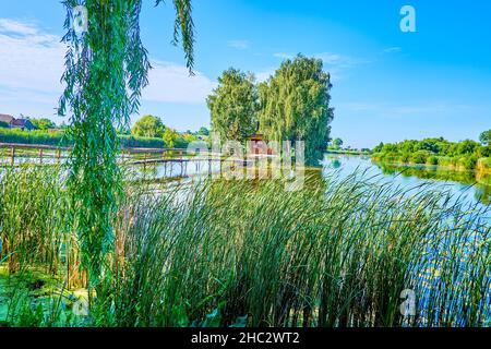 Goditi la natura e guarda i salici e le canne, ondeggianti sul vento di fronte alla piccola casa dei pescatori in legno sull'isolotto sul fiume Kodnyanka, O. Foto Stock