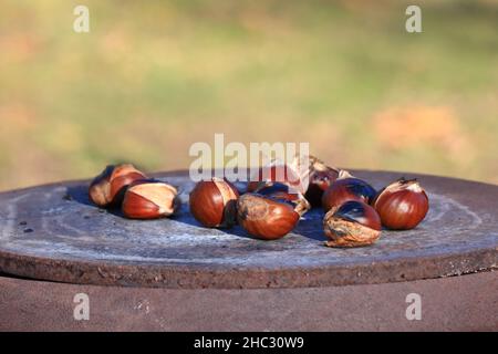 Castagne arrostite a fuoco aperto. Castagne arrosto. c Foto Stock