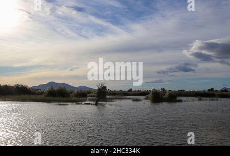 Paesaggio della riserva di uccelli in Crevillent Foto Stock