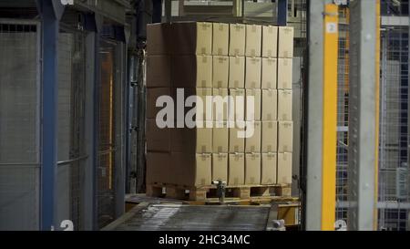 Scatola di spedizione in movimento sul nastro trasportatore, estremità della linea. Spostamento del nastro trasportatore con scatole di cartone lungo il corridoio sul luogo di lavoro. Le scatole di cartone viaggiano Foto Stock