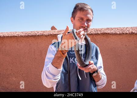 Ritratto di giovane uomo sorridente mentre tiene serpente contro il muro Foto Stock