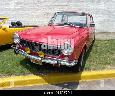 Lomas de Zamora, Argentina - 4 dic 2021 - rosso sportivo Fiat 1500 coupé Vignale fastback berlinetta costruita in Argentina, fine 1960s. Vista anteriore sinistra. CAD Foto Stock