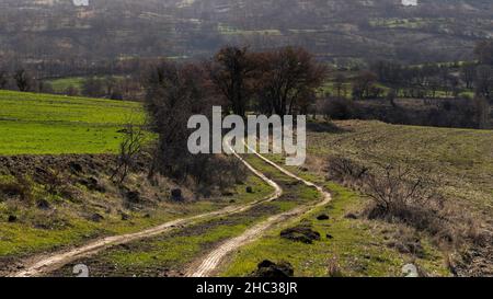 Campi verdi e strada sterrata tra campi in primavera. Foto Stock