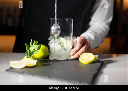 Barman che prepara un cocktail mojito. Fotografia di alta qualità. Foto Stock
