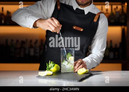 Barman che prepara un cocktail mojito. Fotografia di alta qualità. Foto Stock