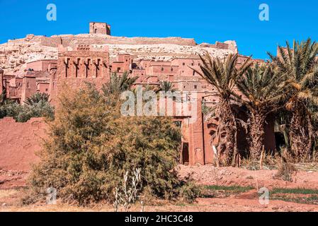 Strada sterrata tra gli alberi che conduce all'ingresso dell'antica fortezza Foto Stock