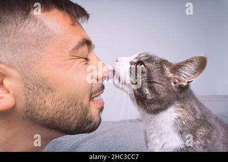 Cute gatto che lecca o bacia il naso del proprietario. Animali domestici e umani amicizia, amore e fiducia concetto Foto Stock