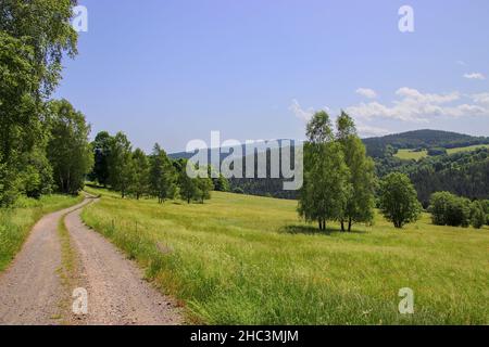 La bella natura al posto del villaggio perduto Stodulky a Sumava Foto Stock