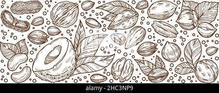 Mandorle e noci, banner nutrizionale e dieteting Illustrazione Vettoriale