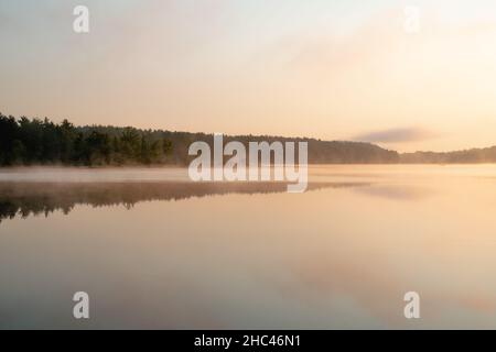 Scatto ipnotizzante di un condimento sotto il cielo giallo Foto Stock