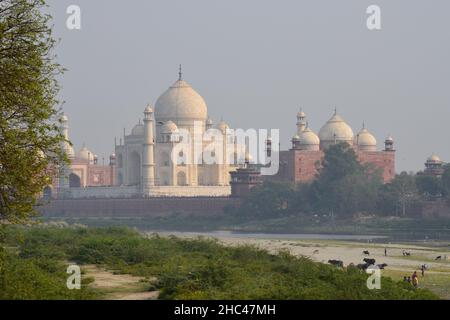 Splendida vista del Taj Mahal dall'altra parte del fiume Foto Stock