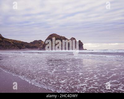 Isola di Taitomo (Camel Rock), Piha, Auckland in giornata nuvolosa Foto Stock