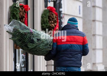 Monaco di Baviera, Germania. 24th Dic 2021. Un uomo porta un albero di Natale lungo la strada. Credit: Lennart Preiss/dpa/Alamy Live News Foto Stock