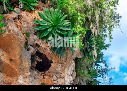 SCENIC nella Riserva Naturale di Hanabanilla Cuba Foto Stock