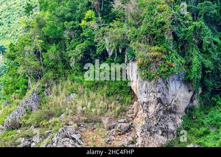 SCENIC nella Riserva Naturale di Hanabanilla Cuba Foto Stock