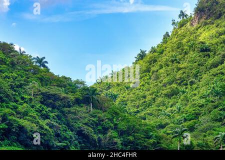 SCENIC nella Riserva Naturale di Hanabanilla Cuba Foto Stock