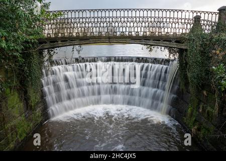 The Weir in Ripley Beck at Ripley Castle North Yorkshire Inghilterra, Regno Unito Foto Stock