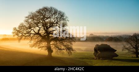 Alba vicino al villaggio di Spofforth nel North Yorkshire, Inghilterra, Regno Unito Foto Stock