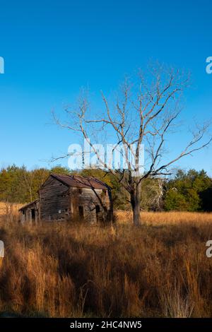 USA Virginia Luray Page County una vecchia casa di legno abbandonata dilapidata e cadendo a pezzi Foto Stock