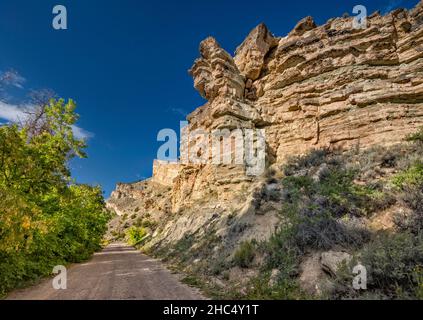 Park City Formation, Sheep Creek Canyon Geological Area, Uinta Mountains, Utah, USA Foto Stock