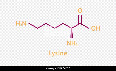 Formula chimica della lisina. Formula chimica strutturale della lisina isolata su sfondo trasparente. Illustrazione Vettoriale