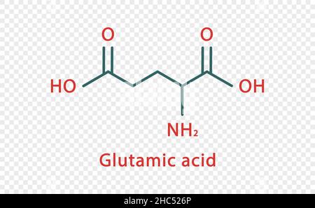 Formula chimica dell'acido glutammico. Formula chimica strutturale dell'acido glutammico isolata su sfondo trasparente. Illustrazione Vettoriale