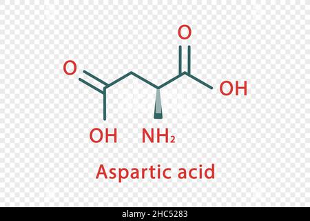 Formula chimica dell'acido aspartico. Formula chimica strutturale dell'acido aspartico isolata su sfondo trasparente. Illustrazione Vettoriale