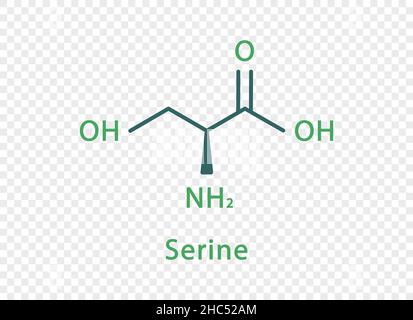 Formula chimica della serina. Formula chimica strutturale serina isolata su sfondo trasparente. Illustrazione Vettoriale