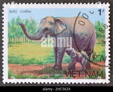 Francobollo cancellato stampato dal Vietnam, che mostra elefante asiatico (Elephas maximus), circa 1986. Foto Stock