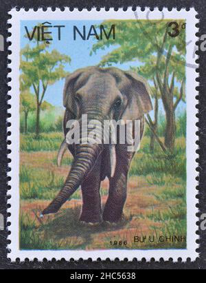 Francobollo cancellato stampato dal Vietnam, che mostra elefante asiatico (Elephas maximus), circa 1986. Foto Stock